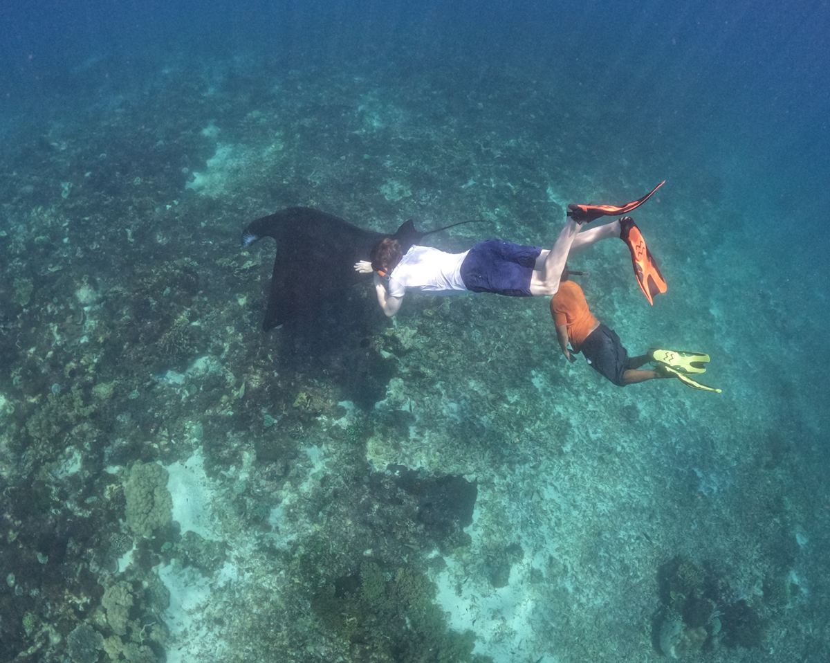 wisata komodo 3 hari