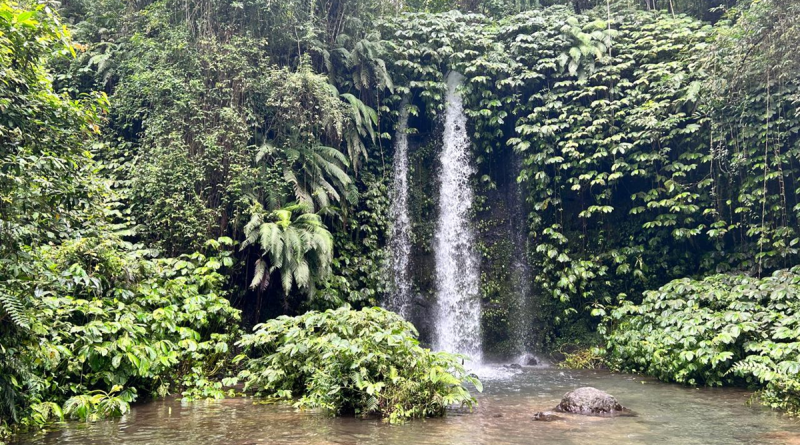 Wisata Air Terjun Benang Stokel Lombok
